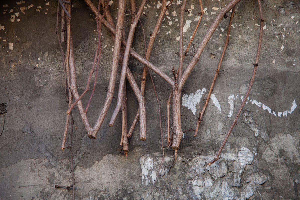 Уничтожение зеленых насаждений