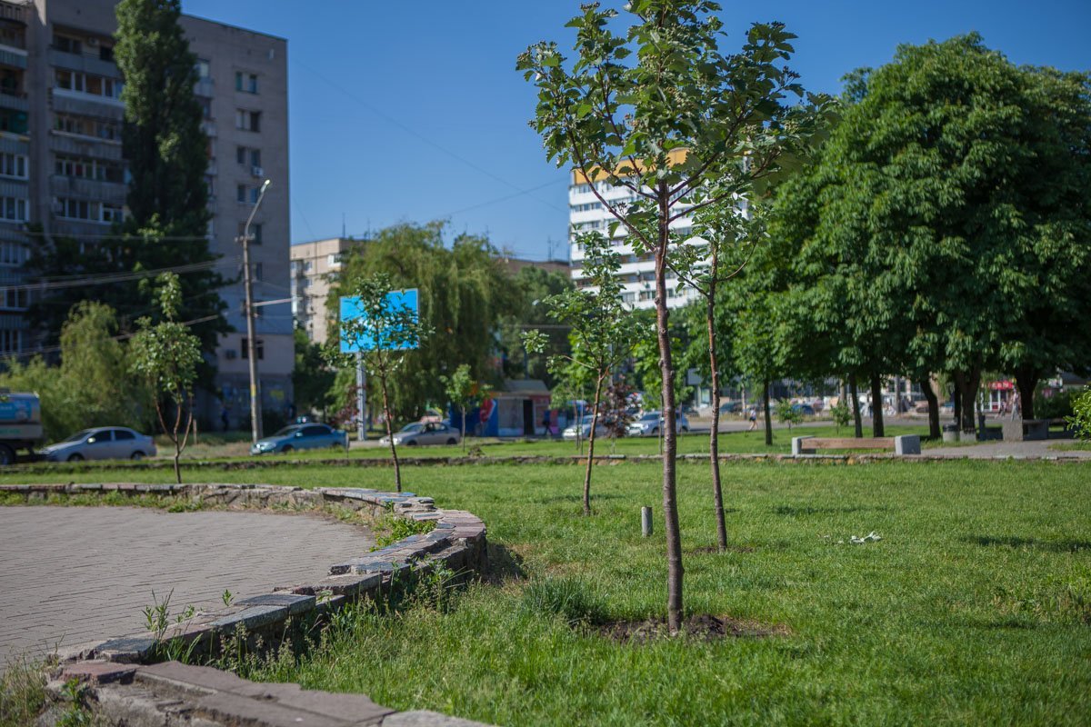 Зеленая зона отделена от пешеходной высоким парапетом, фрагменты которого уже успели куда-то исчезнуть Зеленая зона отделена от пешеходной высоким парапетом, фрагменты которого уже успели куда-то исчезнуть