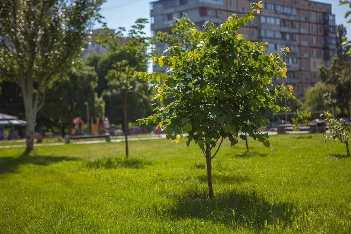 Лето здесь уже полностью вступило в свои права Лето здесь уже полностью вступило в свои права