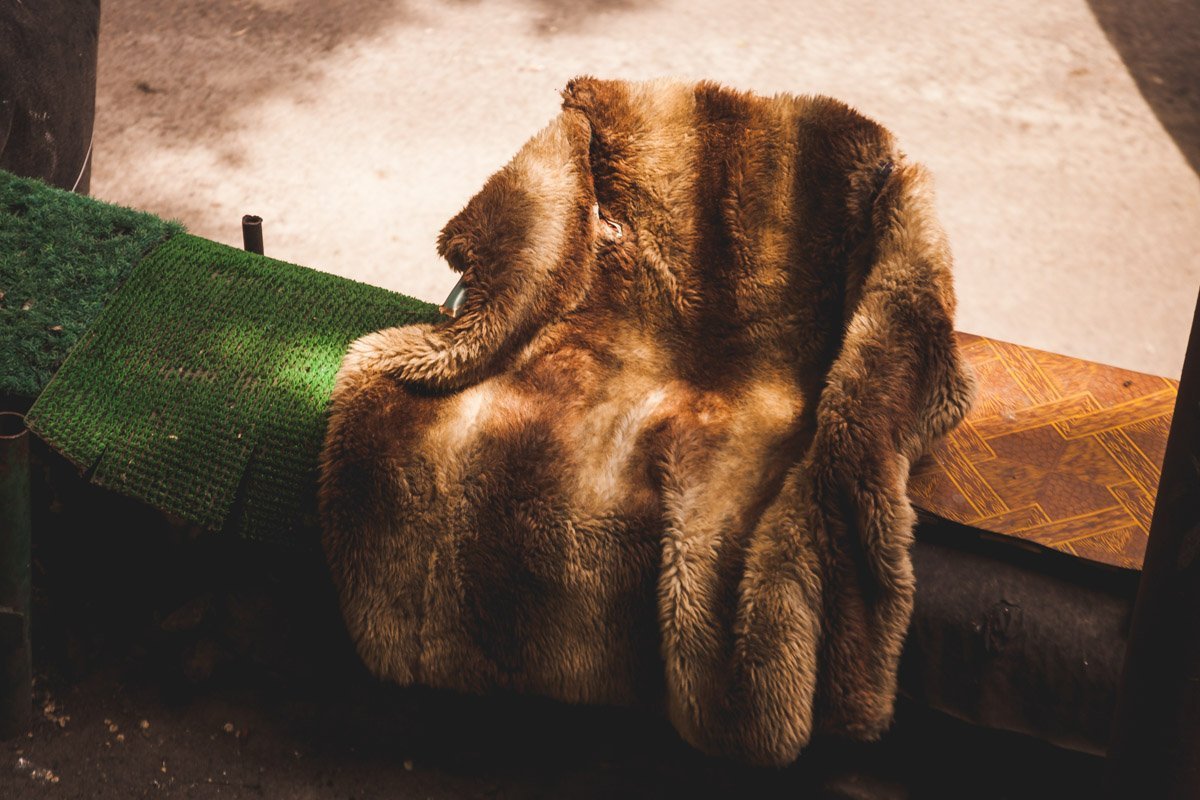 I'm a boss ass bitch, bitch, bitch, bitch, bitch, bitch, bitch I'm a boss ass bitch, bitch, bitch, bitch, bitch, bitch, bitch