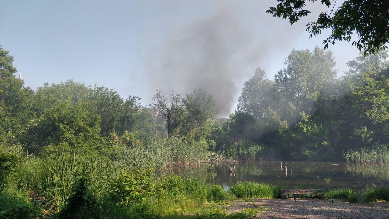 25 мая, начался пожар на стихийной свалке, образовавшейся на улице Мандрыковской 25 мая, начался пожар на стихийной свалке, образовавшейся на улице Мандрыковской