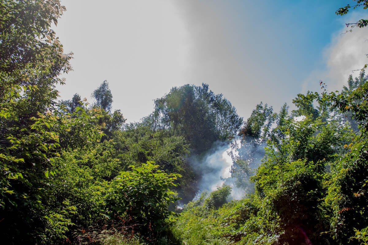 Фото: Александр Лаур Фото: Александр Лаур