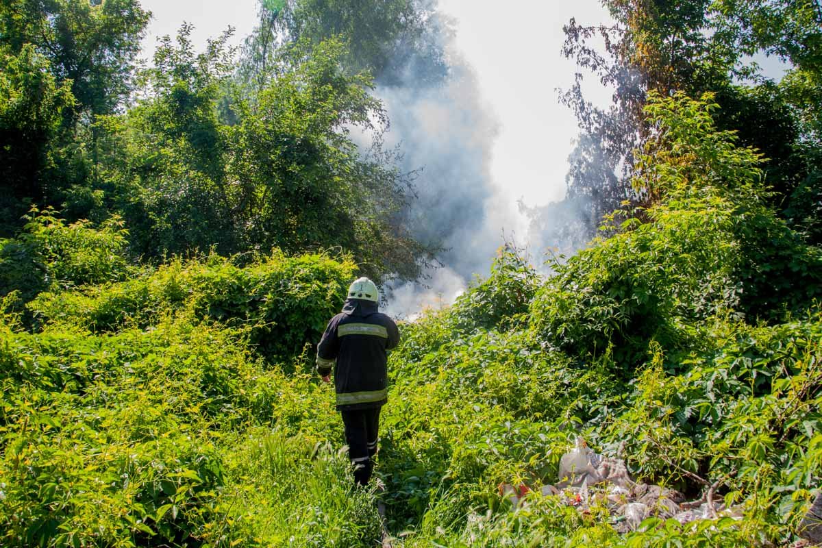 Фото: Александр Лаур Фото: Александр Лаур