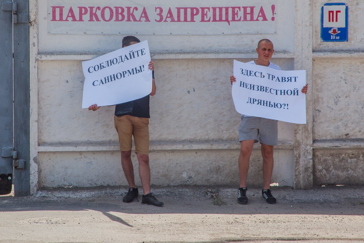 Участники акции протеста путались в словах и рассказывали сильно разнящиеся версии событий