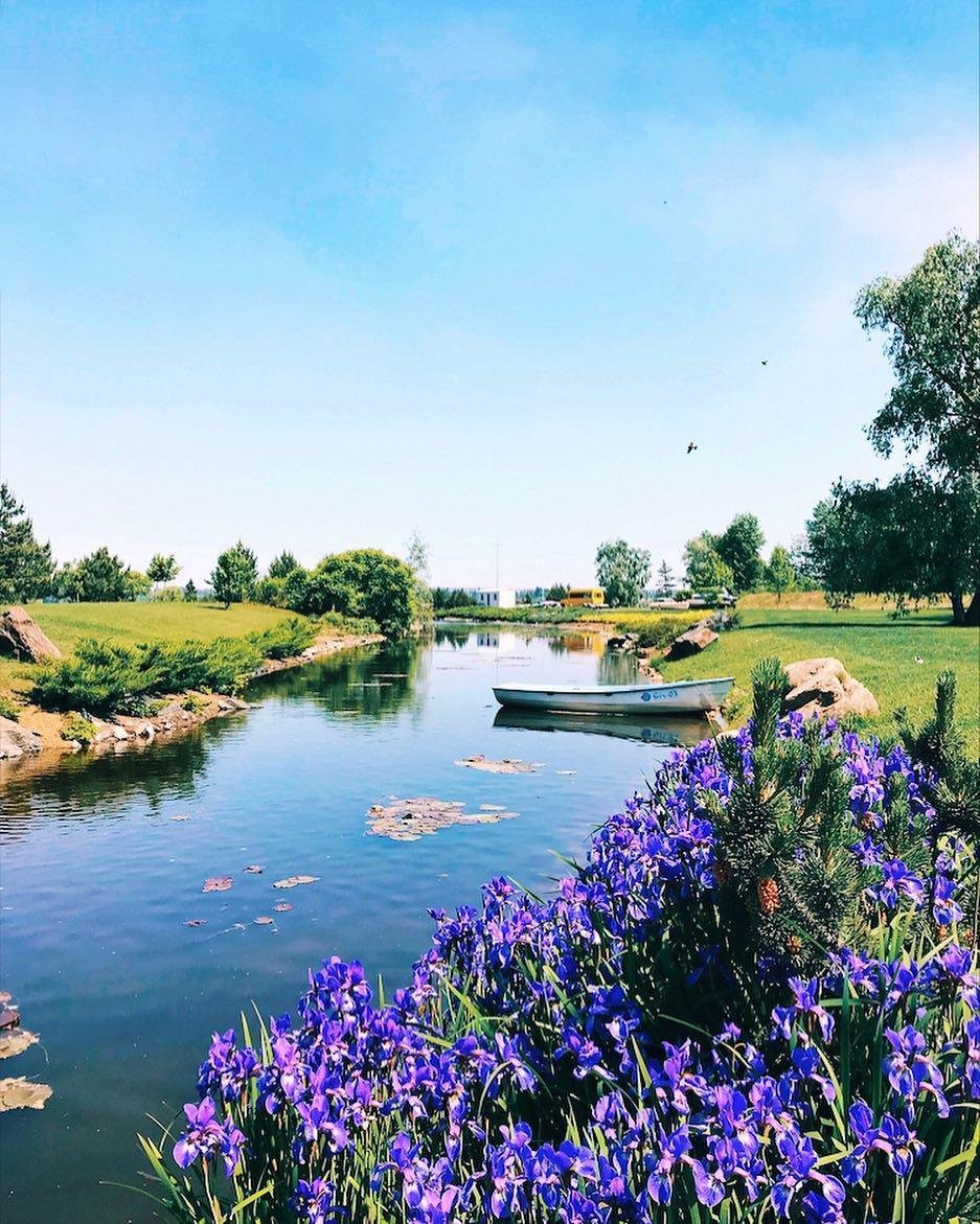 Лето - это любовь. Фото: alonjasha