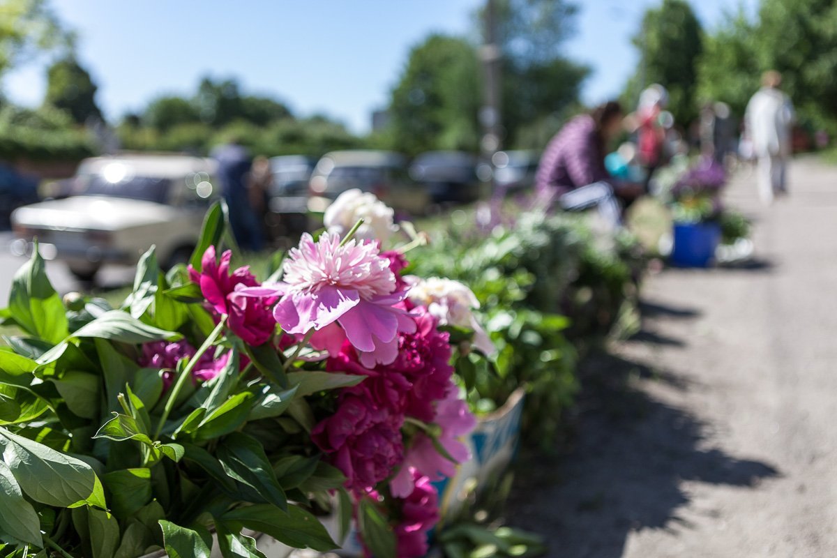 Запах окутал весь город Запах окутал весь город