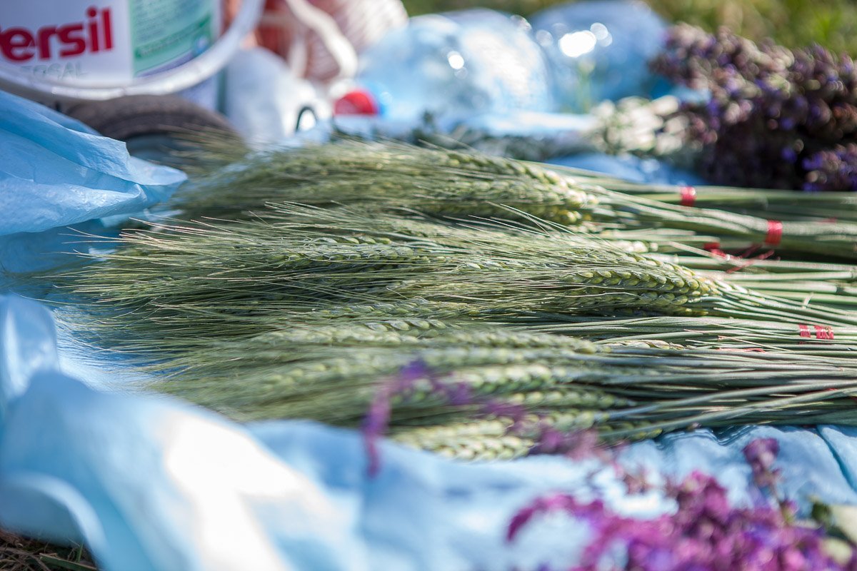 Время украсить дом ветками Время украсить дом ветками