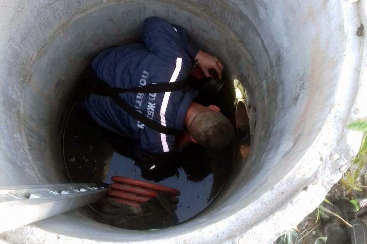 Собака не могла выбраться из сливного колодца