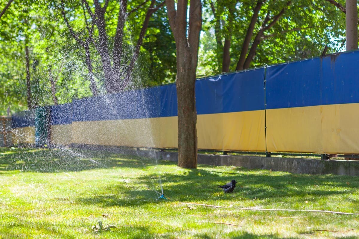 В глубине парка уже уложен газон