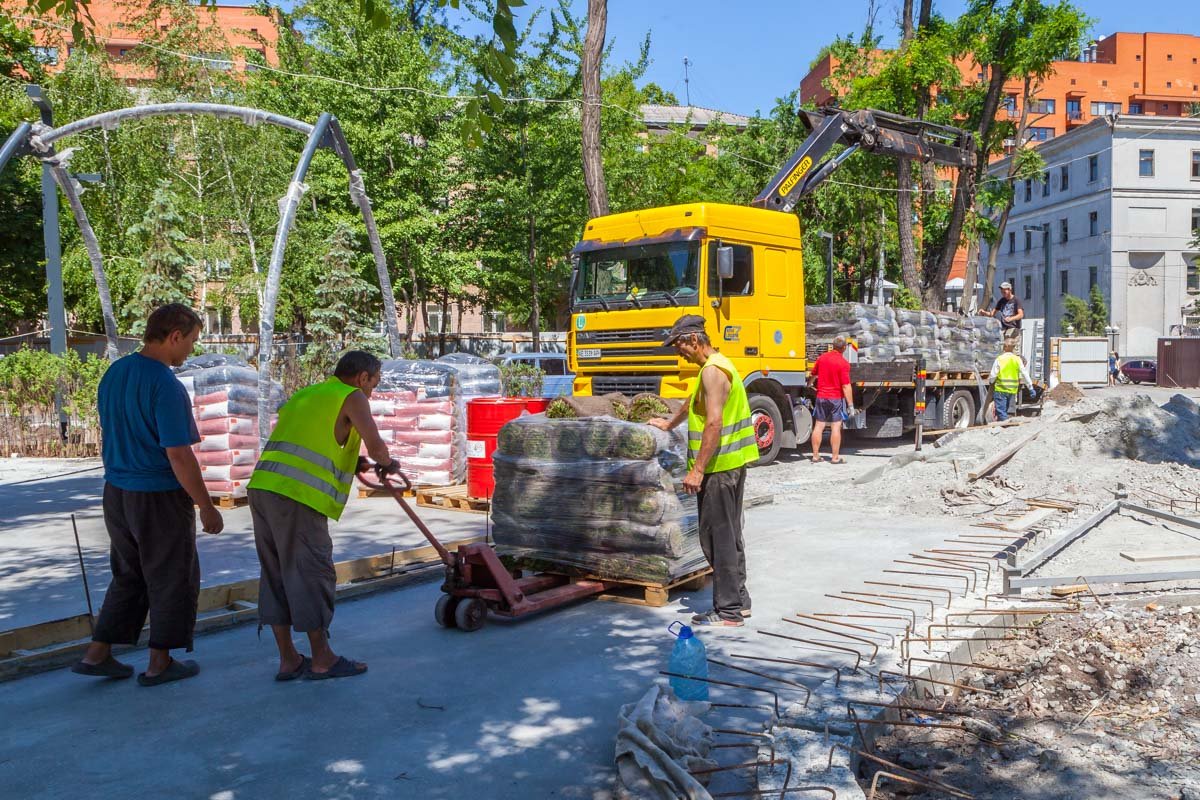 Свежая порция отборного газона