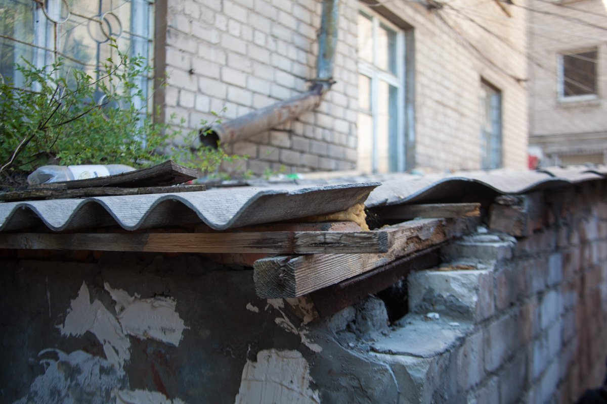 консьерж общежития не пускает кошку с котятами в подвал, где они могут спрятаться от собак консьерж общежития не пускает кошку с котятами в подвал, где они могут спрятаться от собак