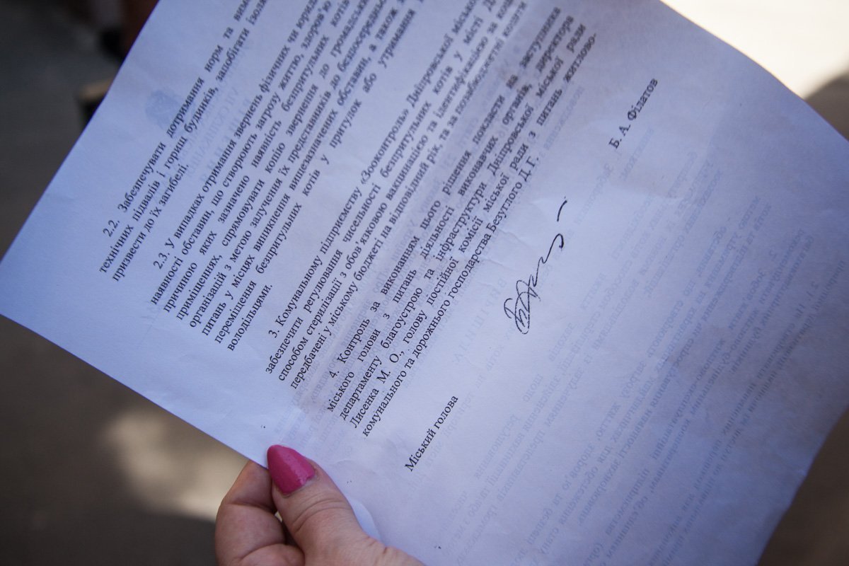 В Днепре распорядились, что коты будут осуществлять естественную дератизацию и иметь свободный доступ к подвальным помещениям В Днепре распорядились, что коты будут осуществлять естественную дератизацию и иметь свободный доступ к подвальным помещениям