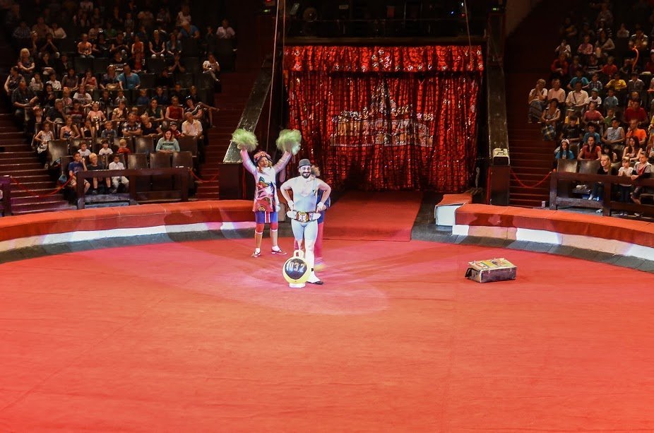 Без слонов, но не менее интересное выступление