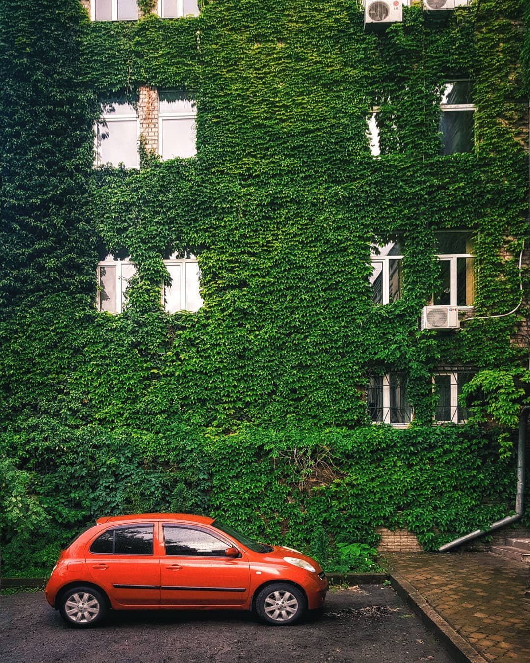 Только плющ может скрыть все недостатки этого города. Фото: ozhik