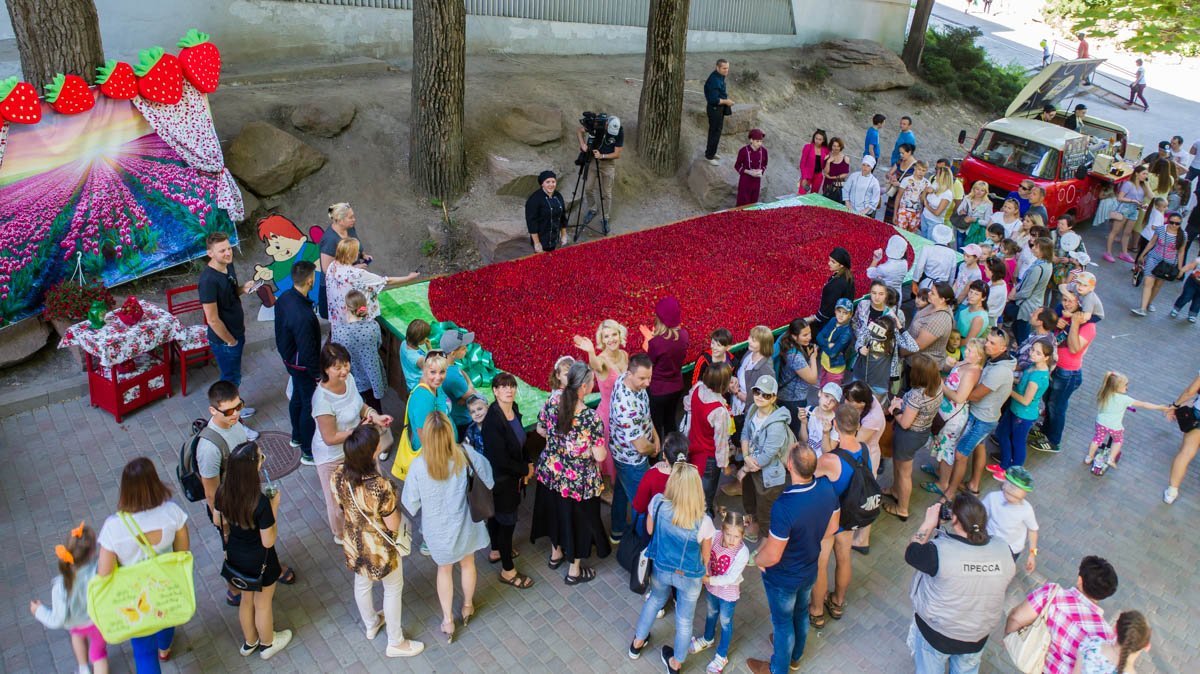 Из экологически чистого Новомосковского района привезли более 320 килограмм клубники