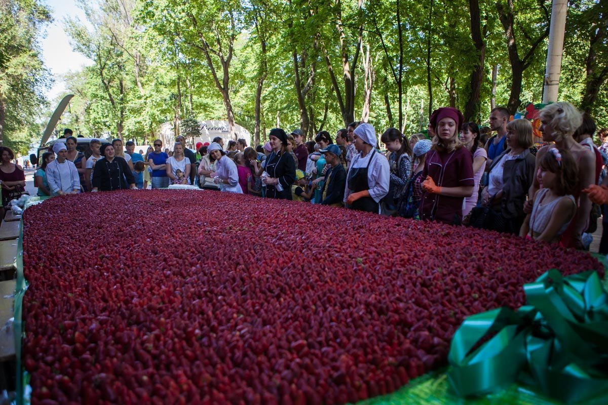 Поле из клубники