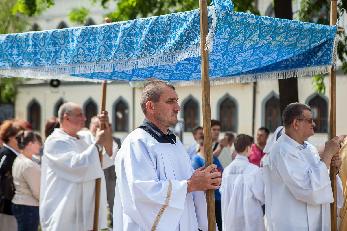 Если вам стало жарко, найдите этих ребят, они носят с собой навес Если вам стало жарко, найдите этих ребят, они носят с собой навес