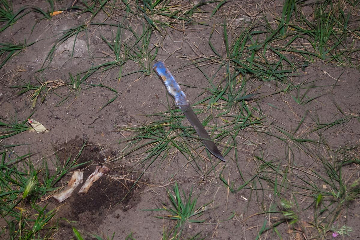 Обошлось без пострадавших Обошлось без пострадавших