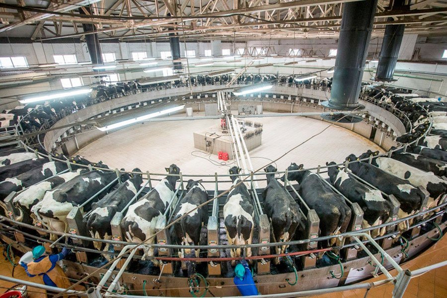 Работа и учеба за границей: куда поехать и как 1