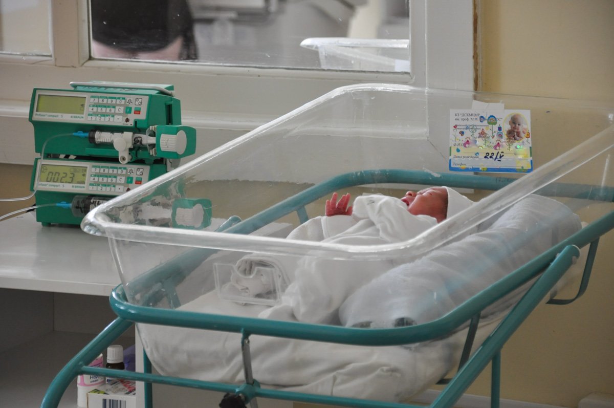 Малыши под присмотром специалистов Малыши под присмотром специалистов