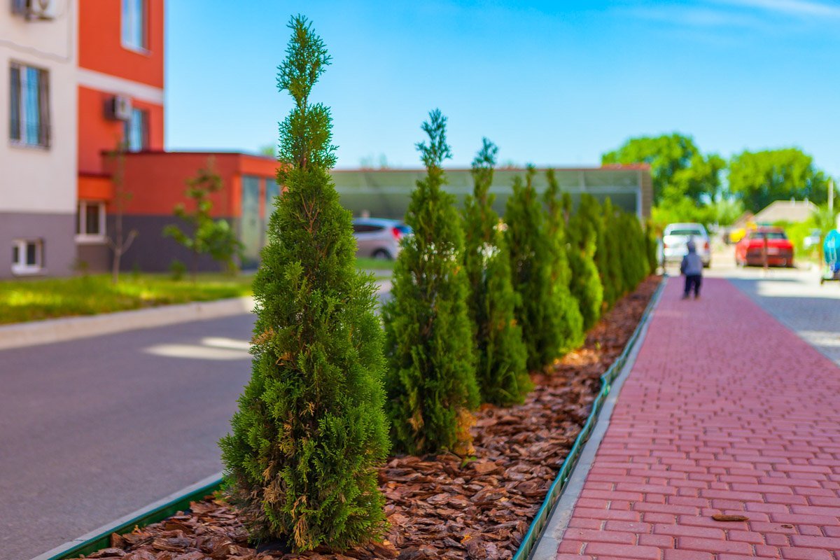 Где выгодно купить уютную и комфортную квартиру в Днепре: ЖК "Олимпийский" открывает секреты 15