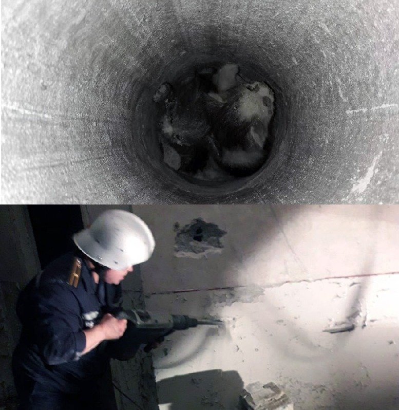 Сотрудники ГСЧС спасли котят