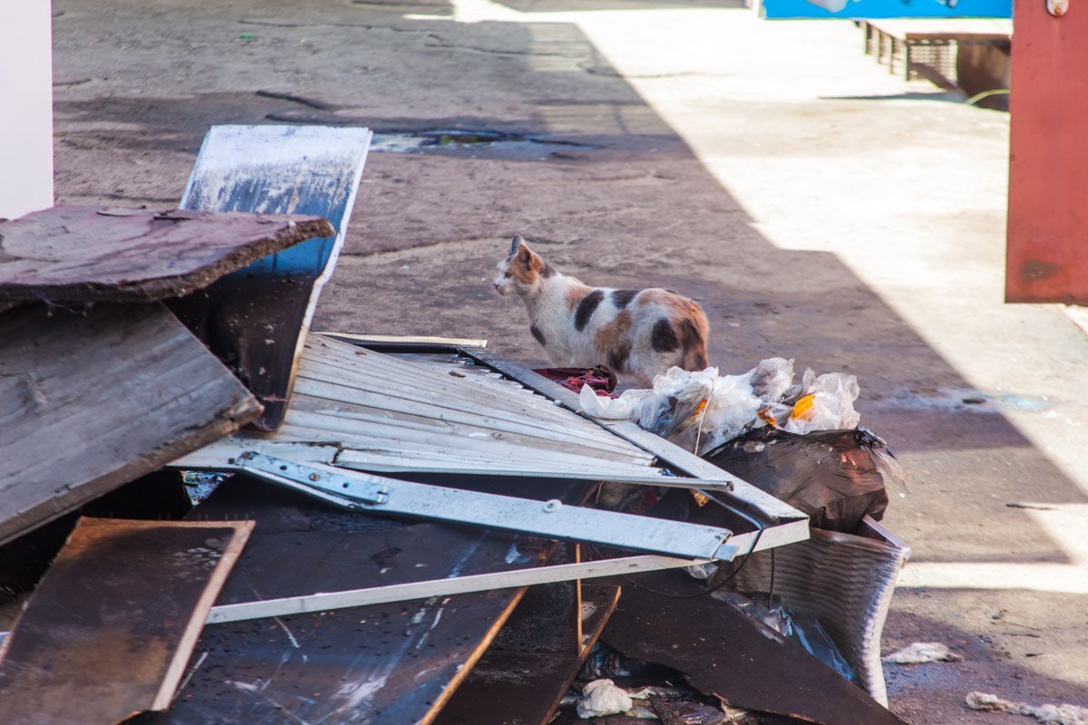 Уже целый месяц в Днепре один за одним загадочно сгорают магазины с колбасной продукцией