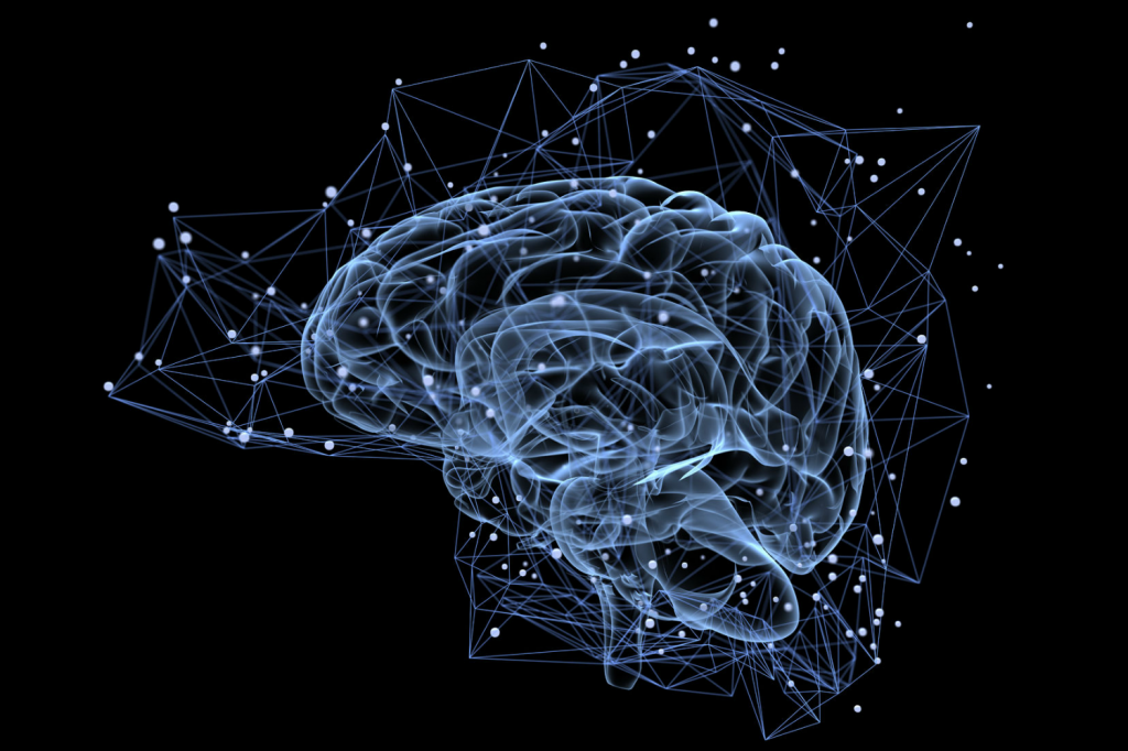 Construction Festival 2018: Well trained songs