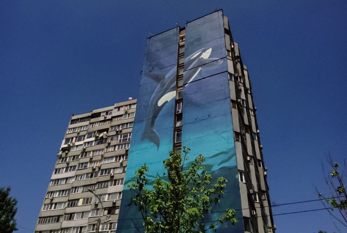 Косатка "раскинулась" на семь этажей здания Косатка "раскинулась" на семь этажей здания