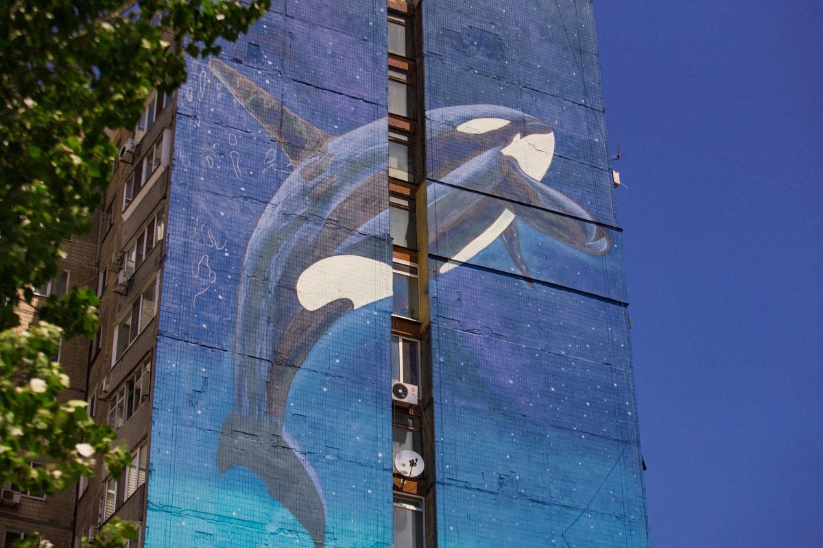 Млекопитающие взмывает в ночное небо Млекопитающие взмывает в ночное небо