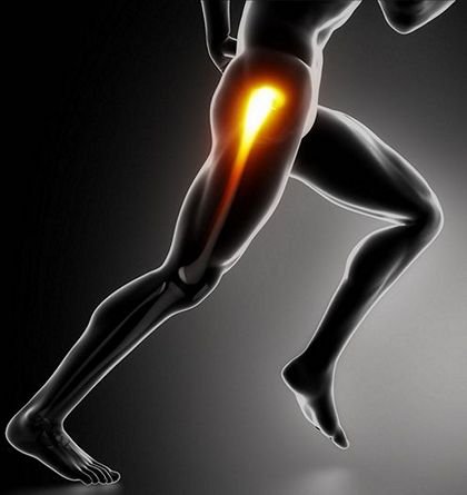 Тазобедренный сустав