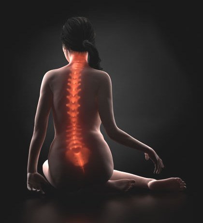 Позвоночник