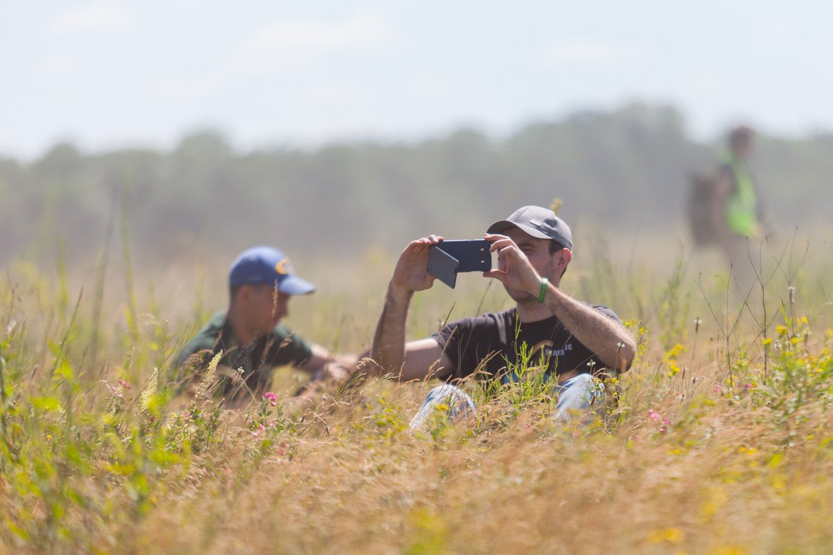 То, что автомобиль слетел страссы вовсе не значит, что пилот не может любоваться другими участниками 