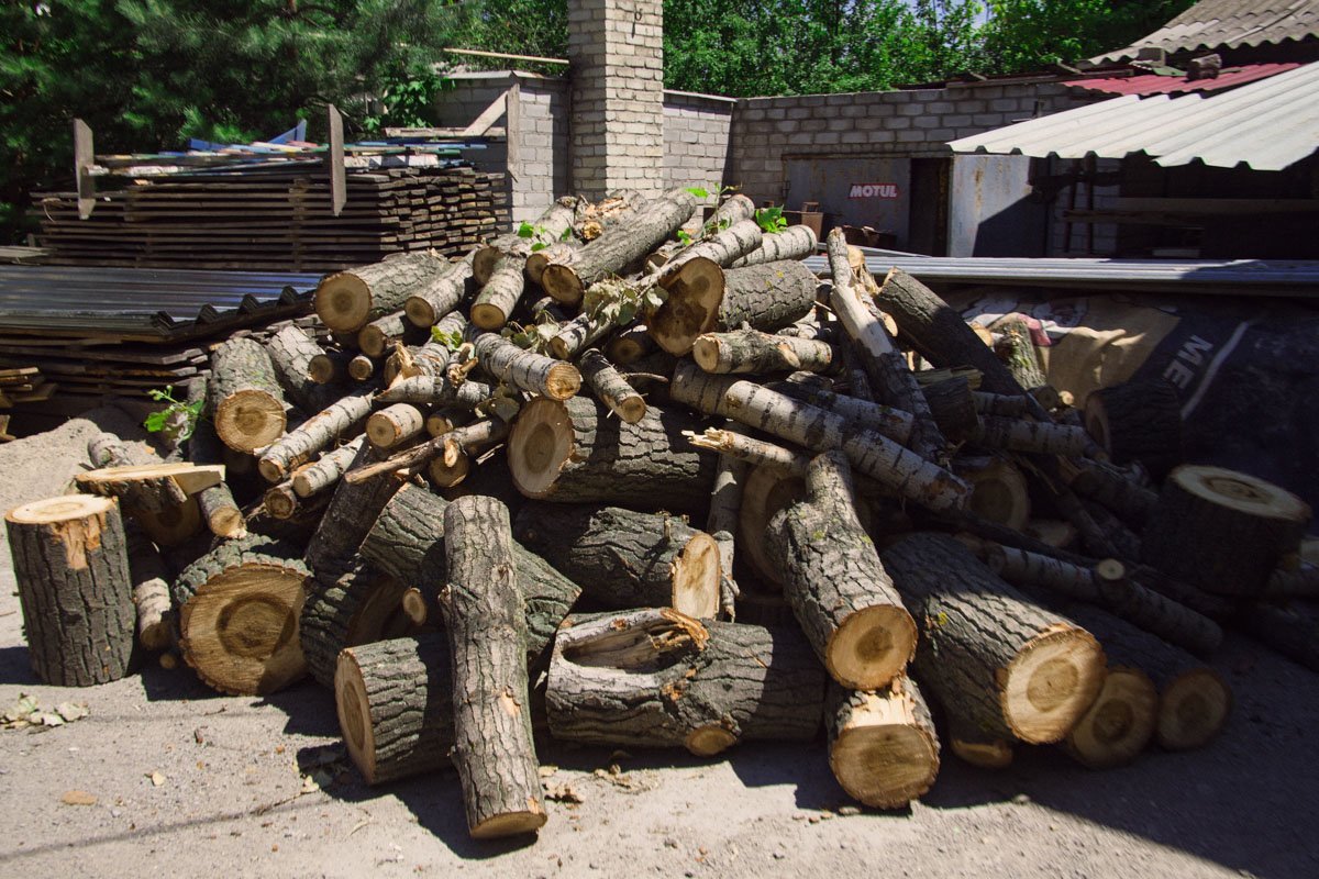 Жильцы сами добывают дрова, чтобы греться зимой Жильцы сами добывают дрова, чтобы греться зимой