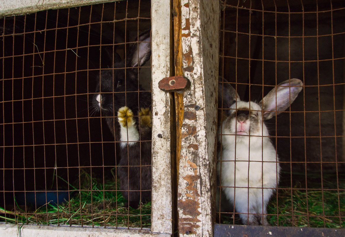 Время умиляться Время умиляться