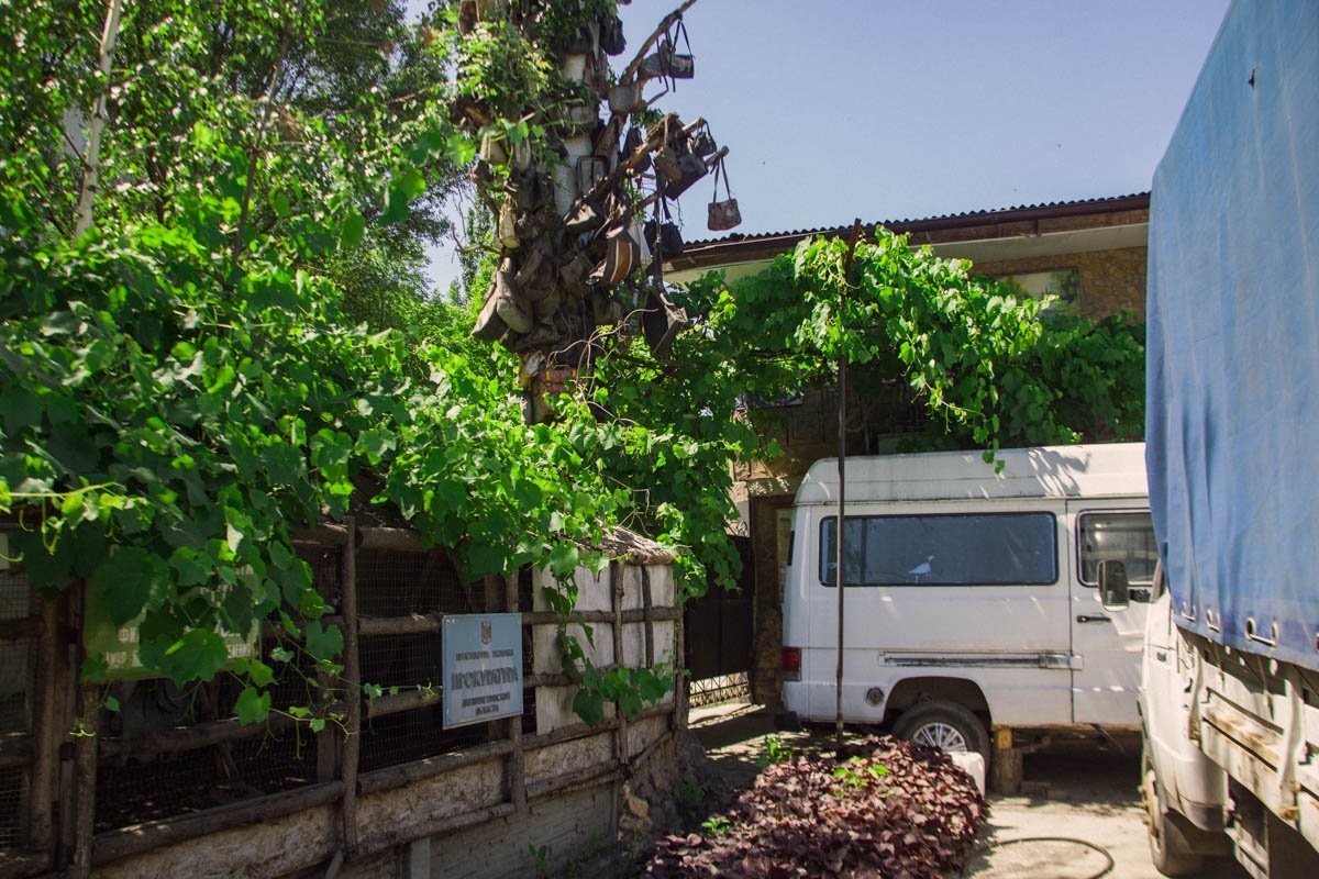 Дерево из сумок привлекает внимание Дерево из сумок привлекает внимание