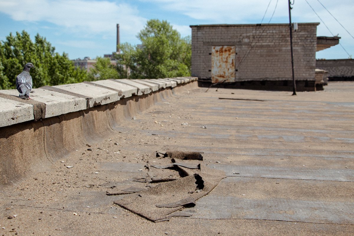 В ЦПМСП № 5 капитально не ремонтировали крышу более 20 лет В ЦПМСП № 5 капитально не ремонтировали крышу более 20 лет