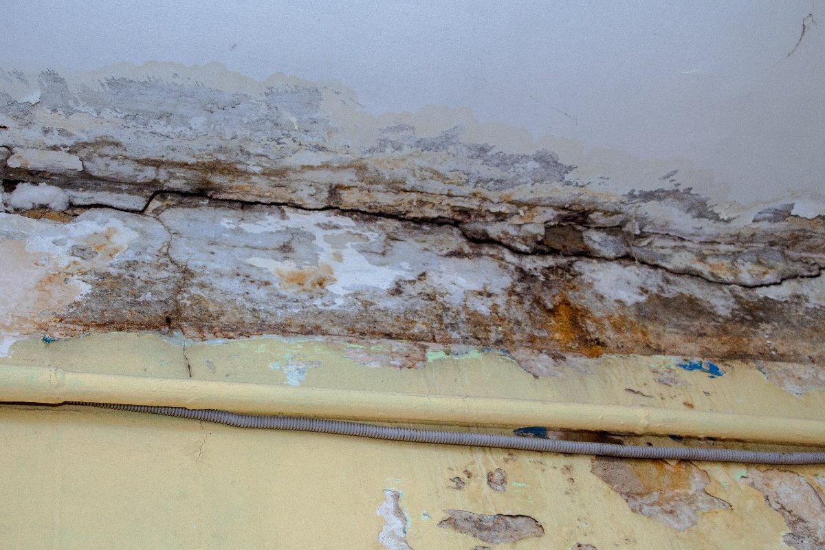 Здания выглядят жутко Здания выглядят жутко