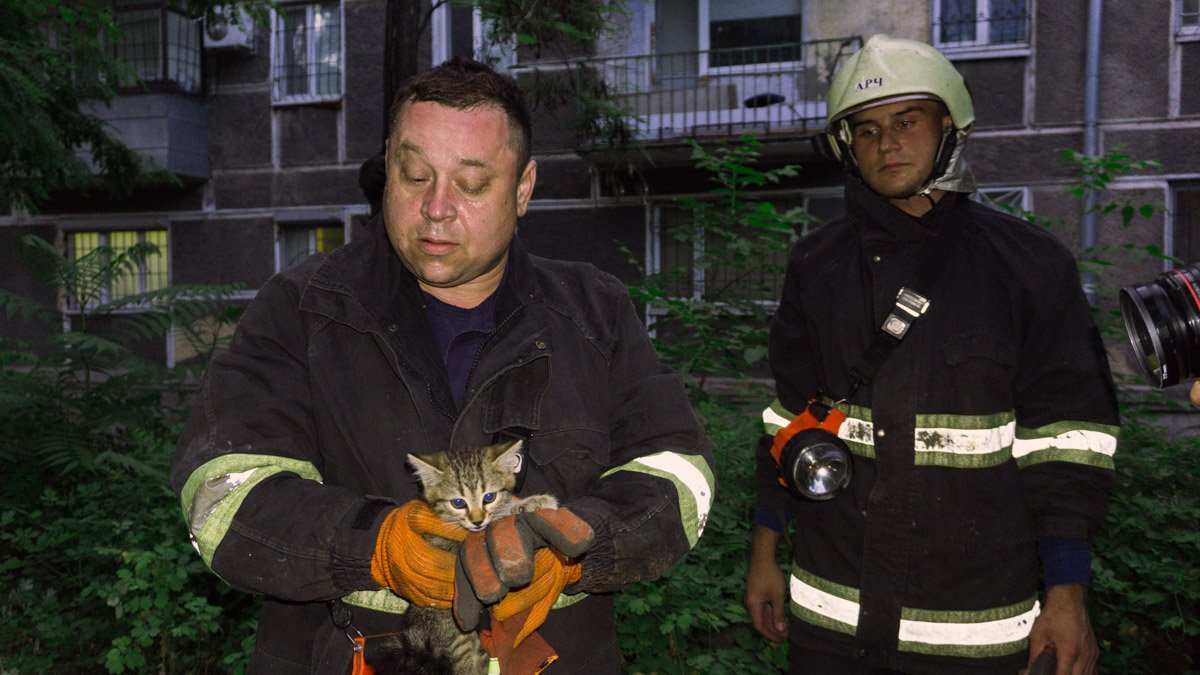Спасатели приехали быстро Спасатели приехали быстро
