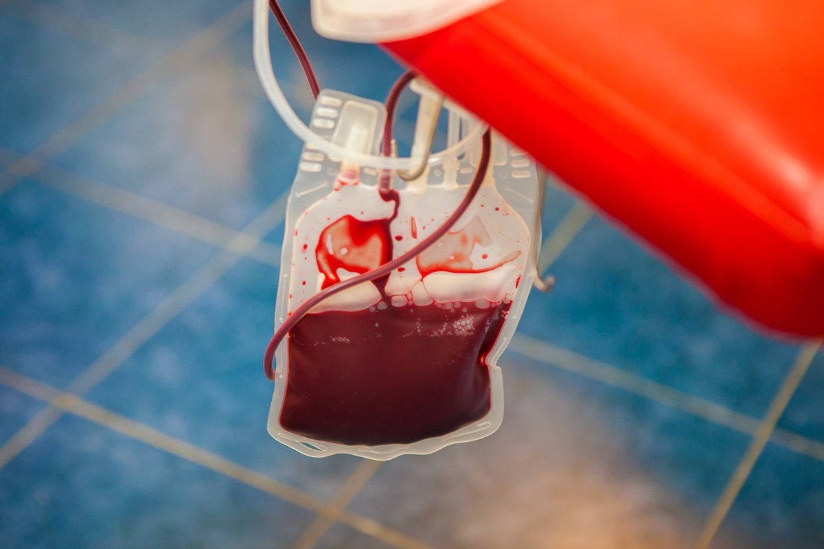 Главное, не бояться Главное, не бояться