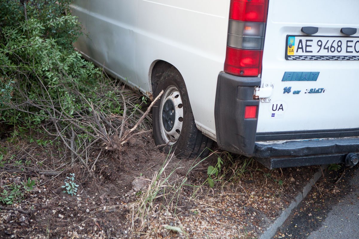 Фото: Андрей Лысенко Фото: Андрей Лысенко