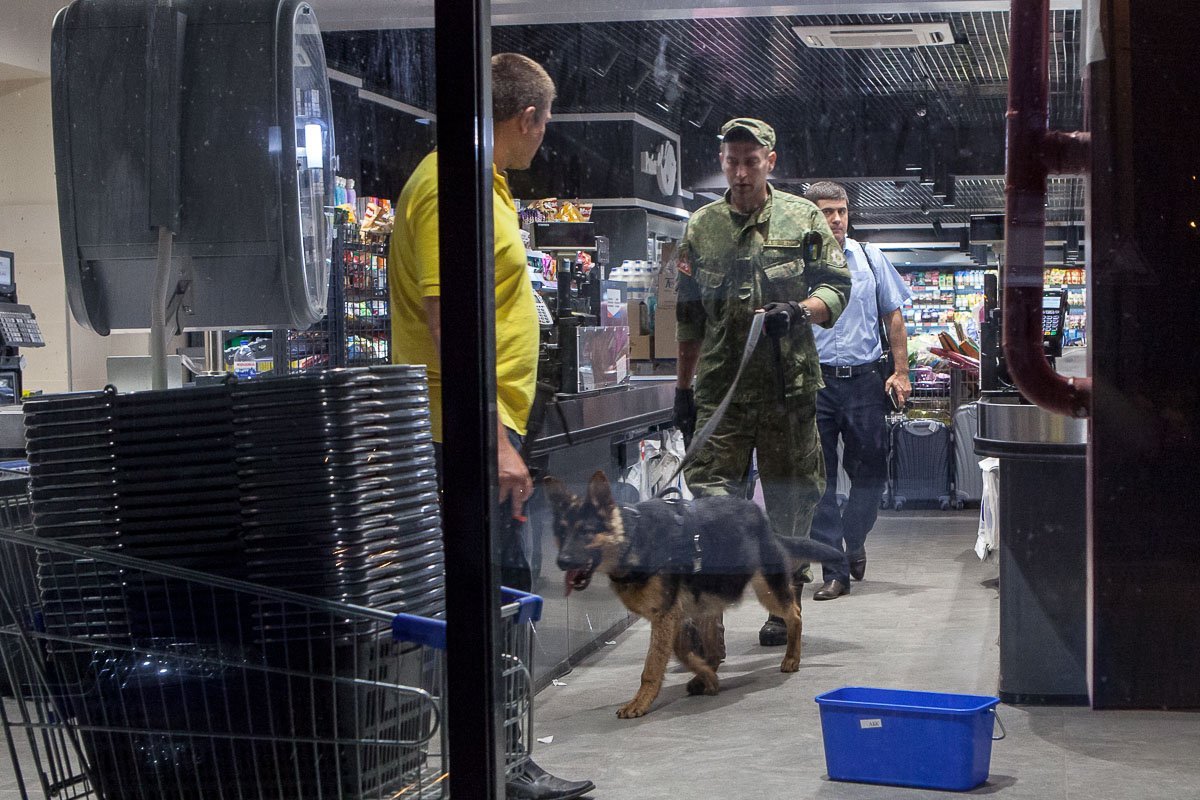 Всю территорию супермаркета тщательно обследовали Всю территорию супермаркета тщательно обследовали