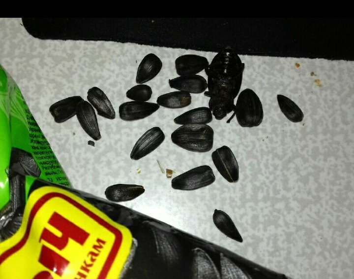 Просто семечки слиплись 