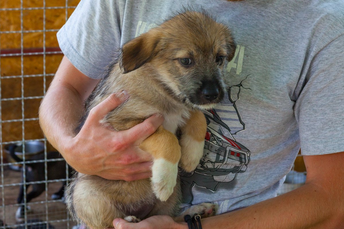 Только не отпускай