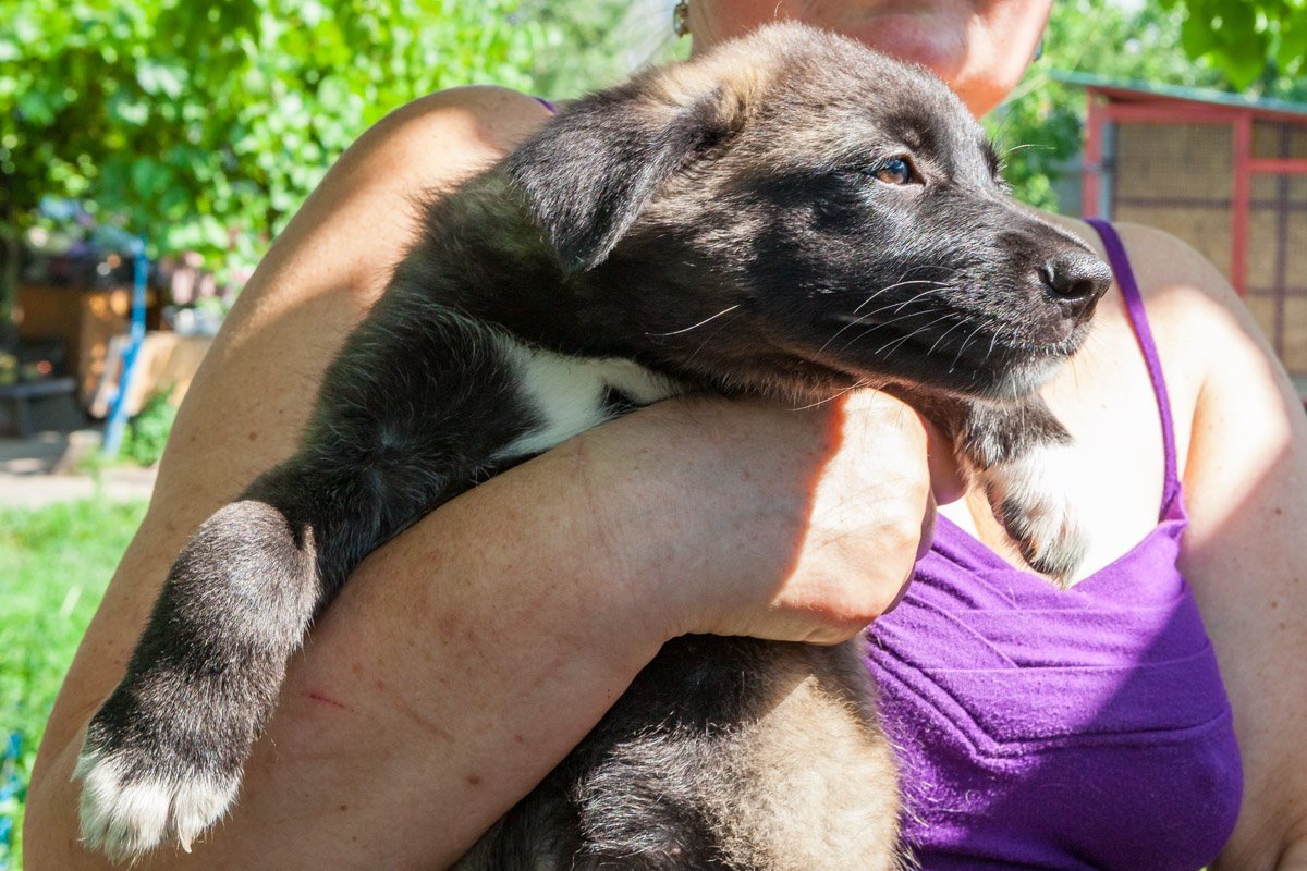 Забери меня с собой