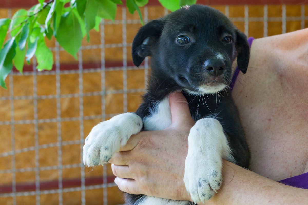 Подозревает, что вы придете за ним