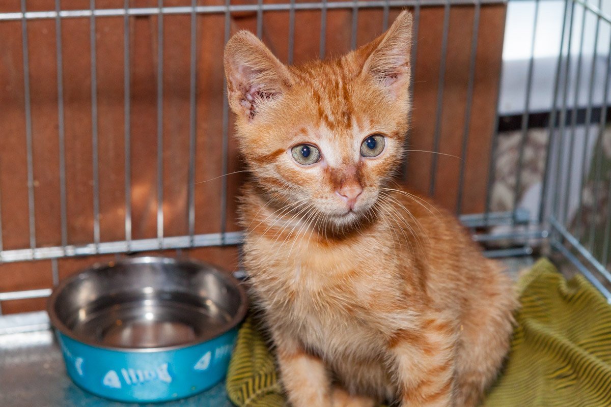 Даже не будет драть обои только заберите