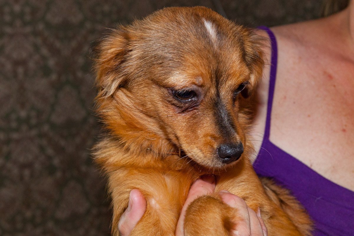 Забери все, только не печалься