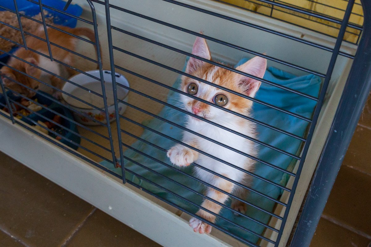 Любовь с первого взгляда