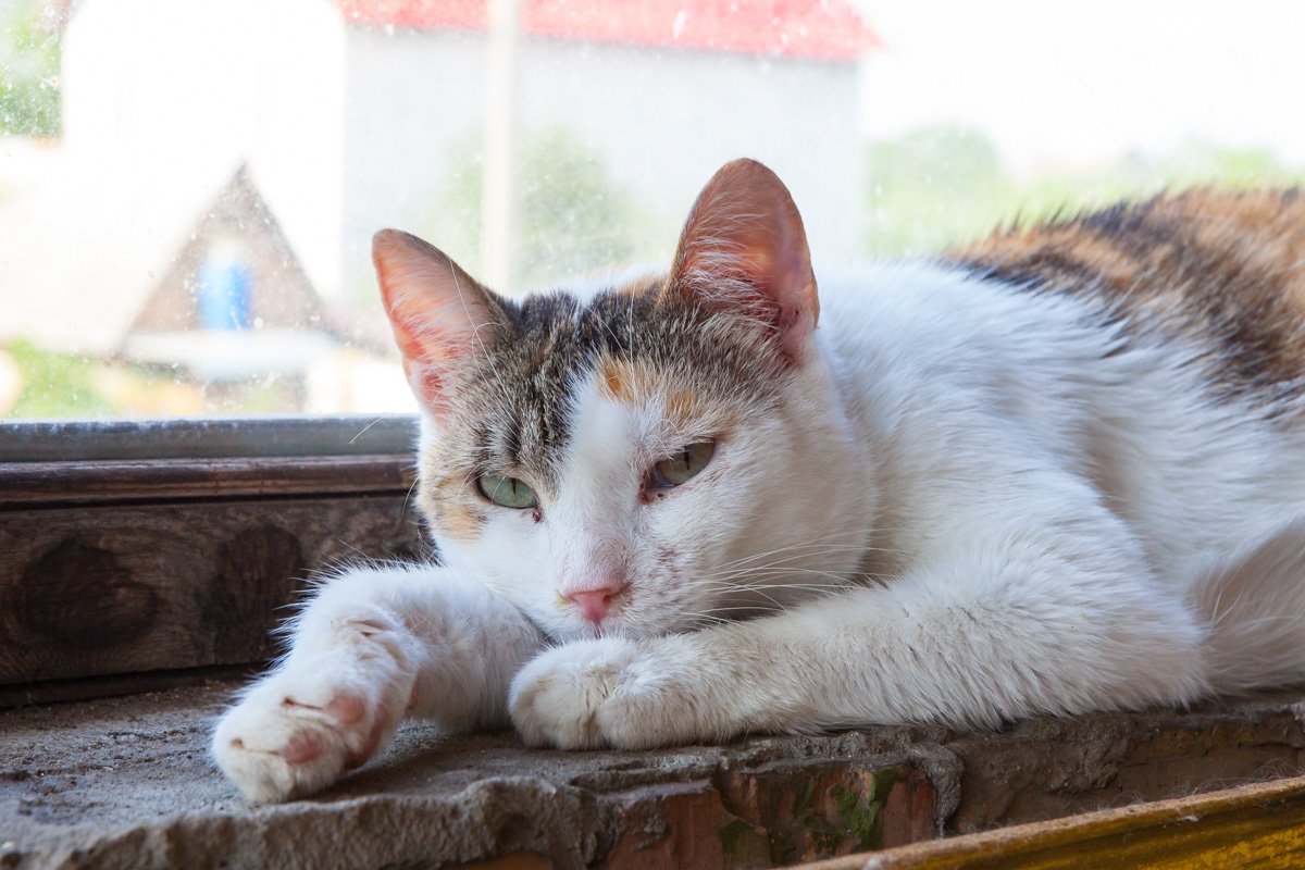 Не все люди такие фотогеничные